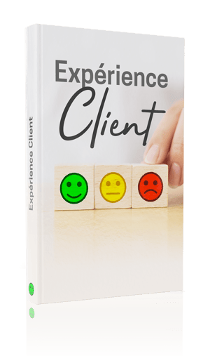 Serious Game Expérience Client Serious Game Expérience Client