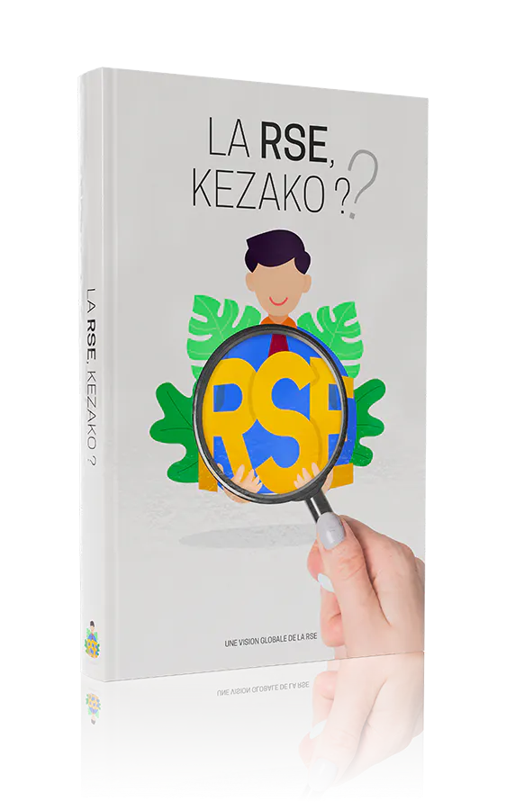 rse kézako rse kézako